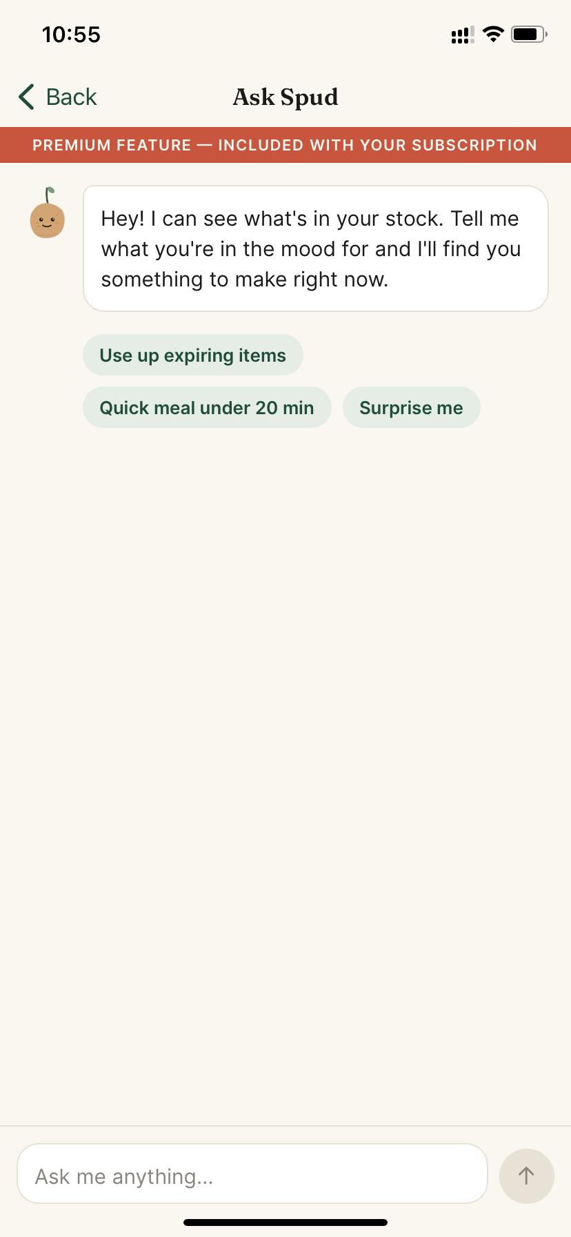 Ask Spud chat screen